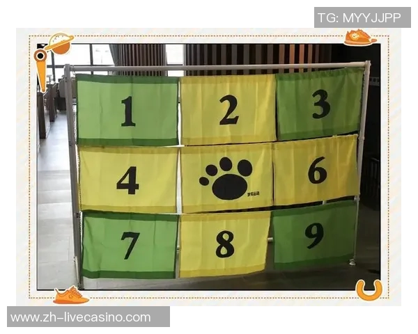 中班足球游戏的趣味探索与团队合作能力培养活动设计